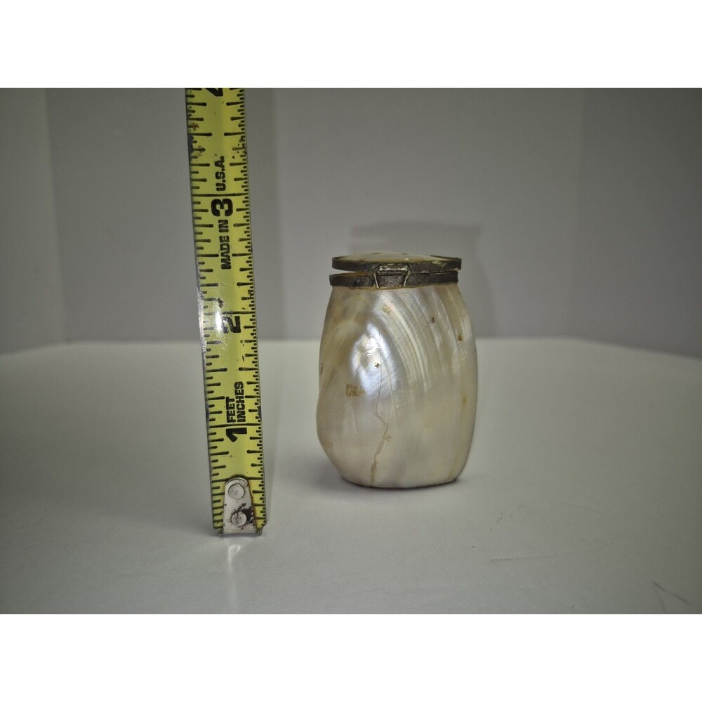 Vintage Mother Of Pearl Abalone Sea Shell S/P Shaker Single Metal Clasp